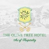 Olive Tree Casino